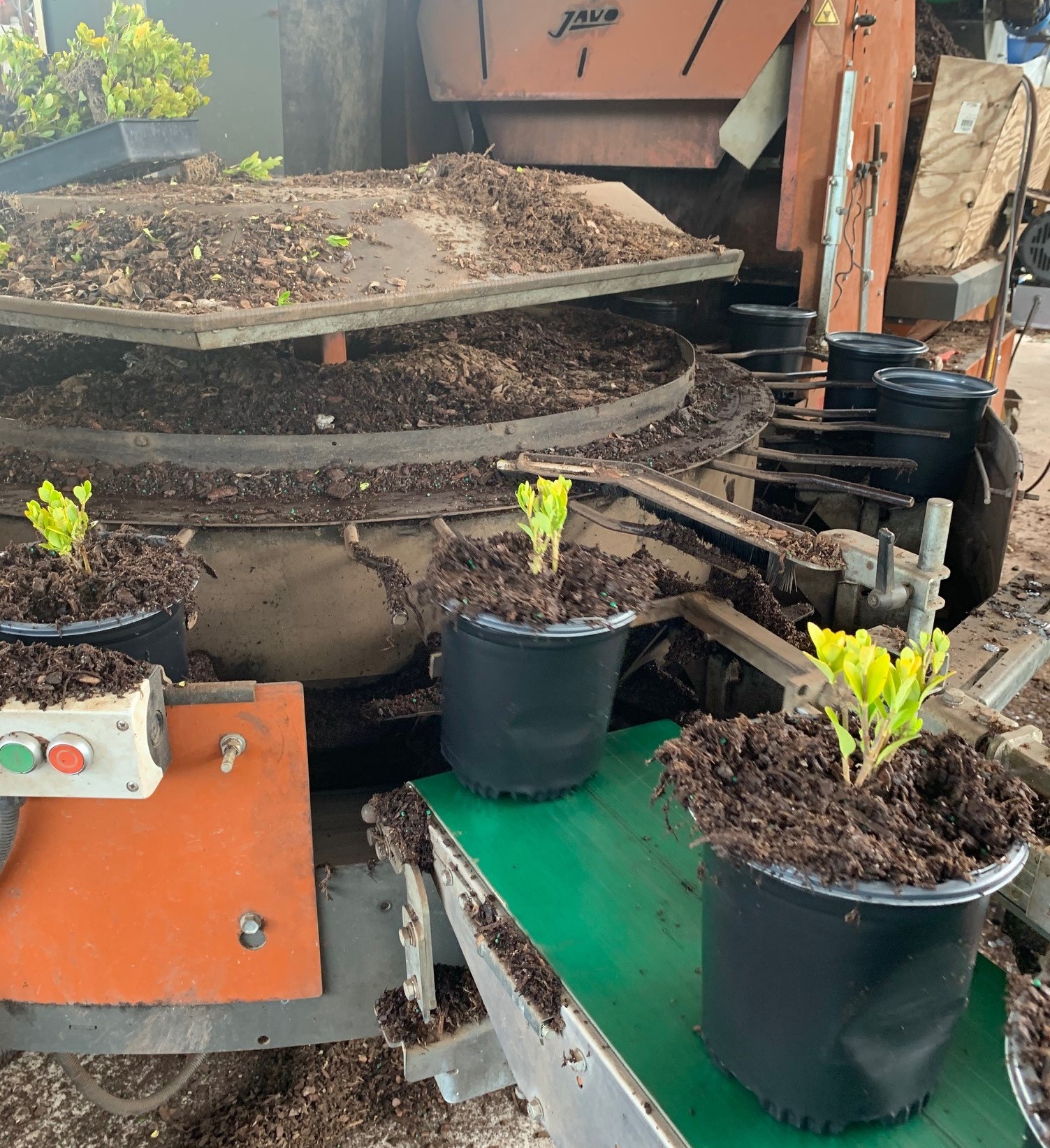Potting machine and conveyor pictures